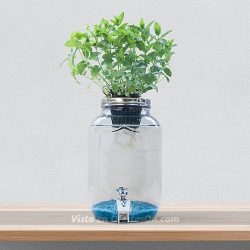 Kit de Hidroponía Creativa Blue Jar