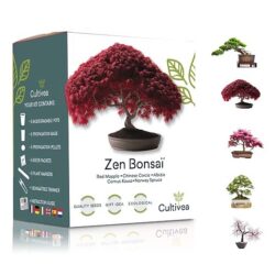kit para cultivar bonsais